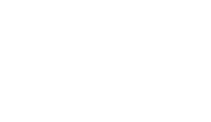 logo weiss ohne name.png